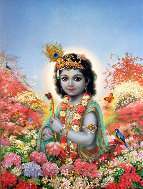 Gallery preview collage